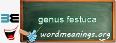 WordMeaning blackboard for genus festuca